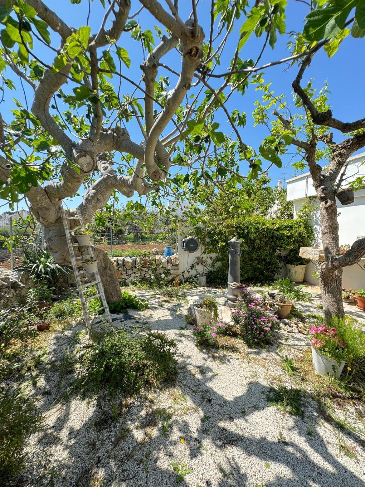 Trulli Resort Aia Piccola Альберобелло Экстерьер фото